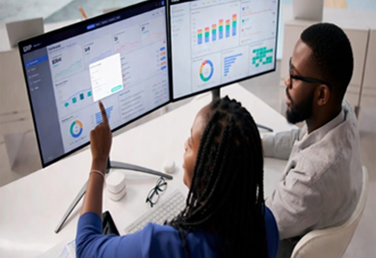 Service -Software developer Big